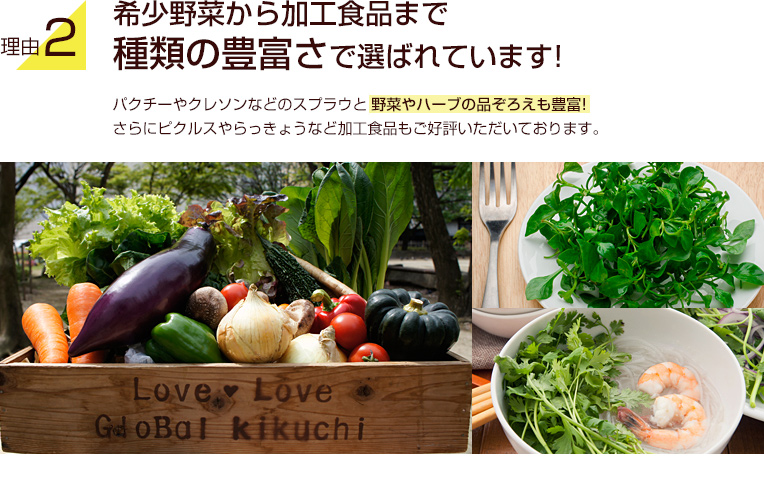 理由2：希少野菜から加工食品まで種類の豊富さで選ばれています！パクチーやクレソンなどのスプラウと野菜やハーブの品ぞろえも豊富！さらにピクルスやらっきょうなど加工食品もご好評いただいております。
