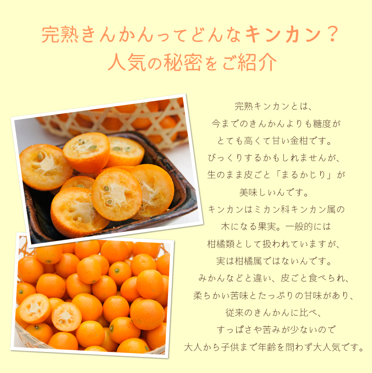 フレッシュ金柑　1kg