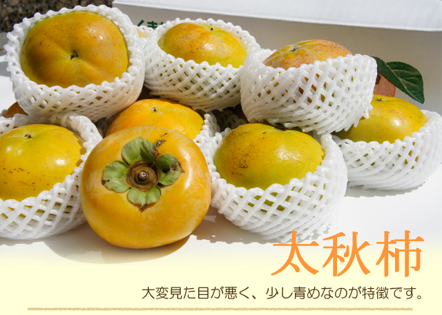 【1箱】太秋柿　１０～１４玉入り