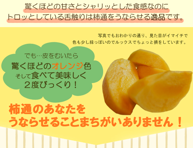 【1箱】太秋柿　１０～１４玉入り