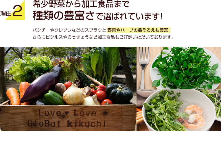 理由2.希少野菜から加工食品まで種類の豊富さで選ばれています!パクチーやクレソンなどのスプラウと野菜やハーブの品ぞろえも豊富!さらにピクルスやらっきょうなど加工食品もご好評いただいております。