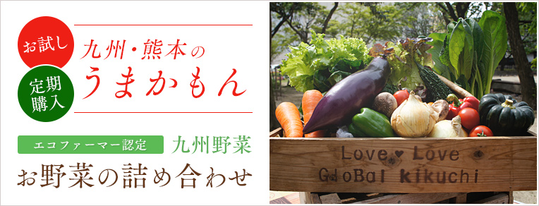 エコファーマー認定 九州野菜｜お野菜の詰め合わせ