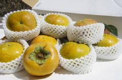 1箱】太秋柿 １０～１４玉入り 果物 熊本絶品フルーツ