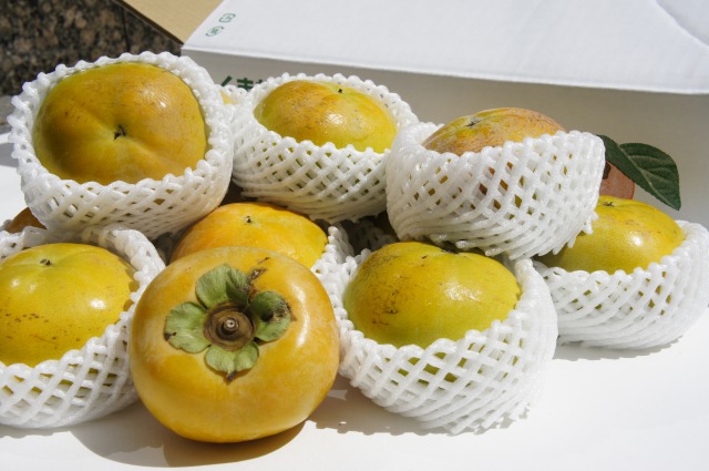 【1箱】太秋柿 １０～１４玉入り 果物 熊本絶品フルーツ